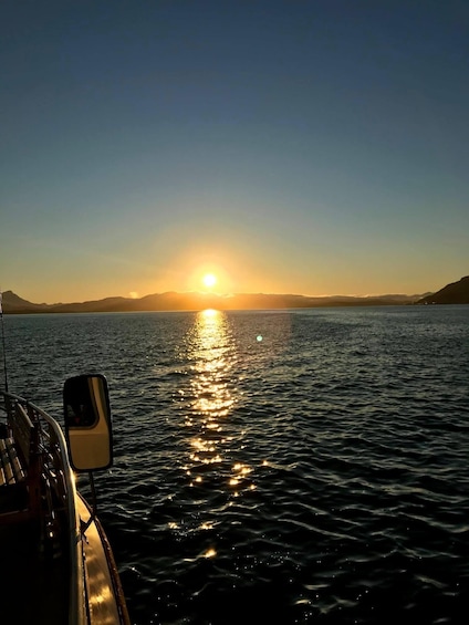 Tromsø: Midnight Cruise