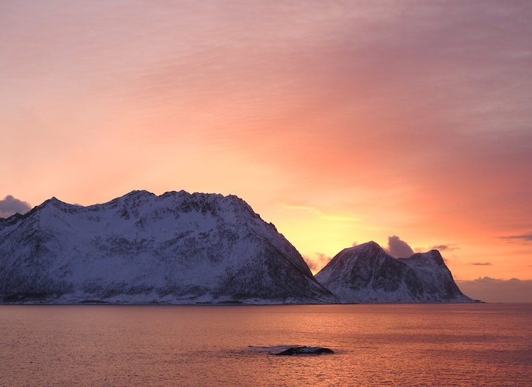 Picture 7 for Activity Tromsø: Midnight Cruise