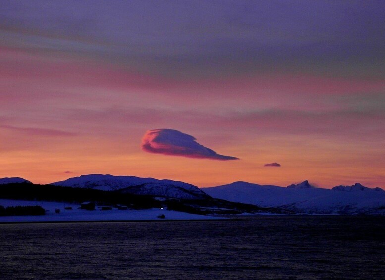 Picture 4 for Activity Tromsø: Midnight Cruise