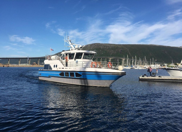 Picture 1 for Activity Tromsø: Midnight Cruise