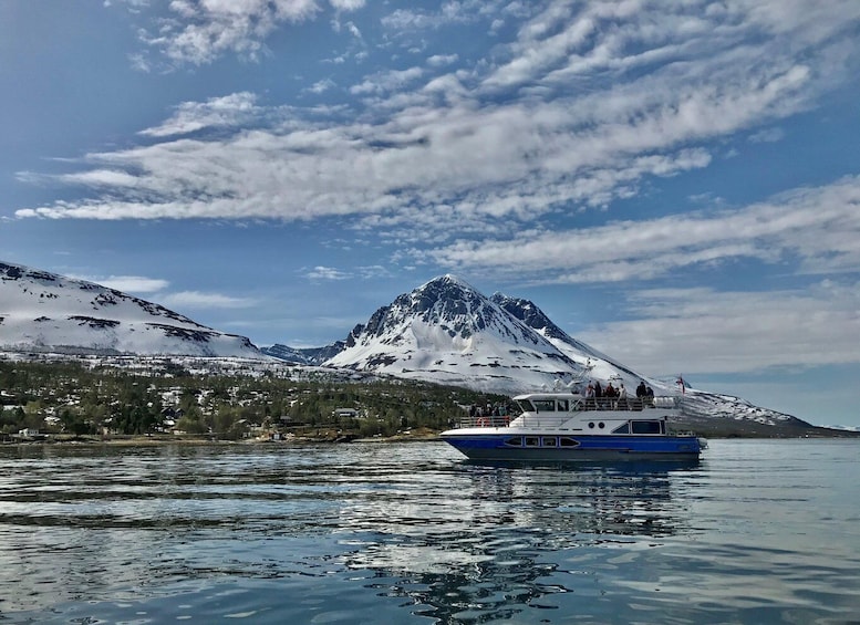 Picture 6 for Activity Tromsø: Midnight Cruise