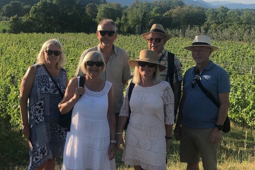 Wine Tour and Tasting of 3 Rosè Valtenesi Wines in Polpenazze