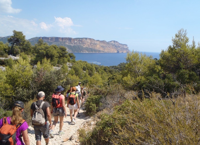 Picture 2 for Activity Cassis: Half-Day Calanques de Cassis Hike