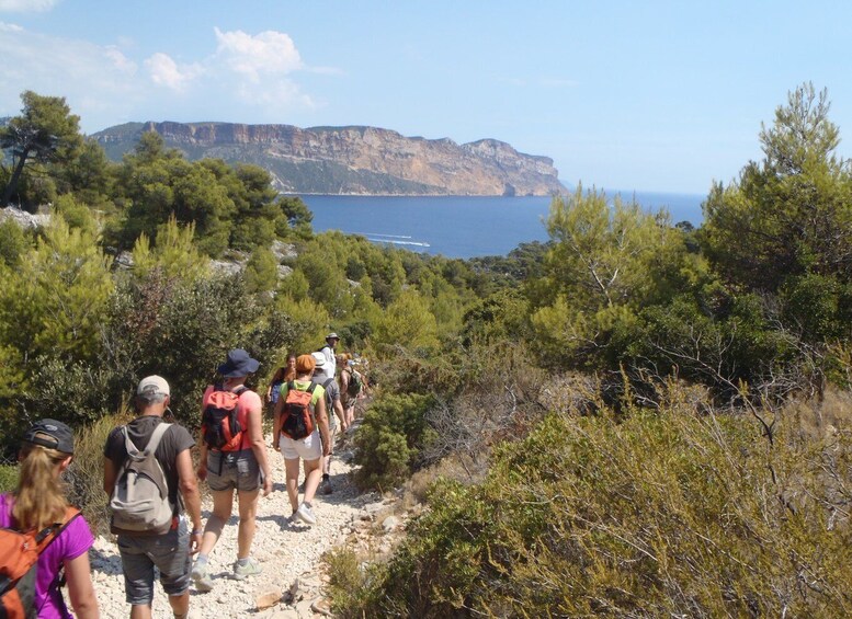 Picture 2 for Activity Cassis: Half-Day Calanques de Cassis Hike