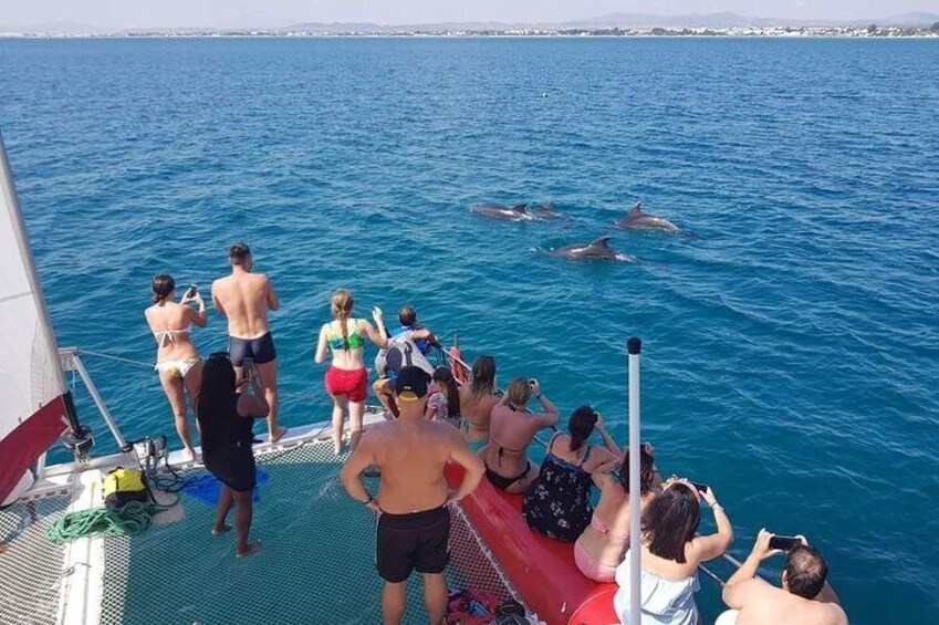 Sea Trip on Catamaran in Hammamet with Transfer