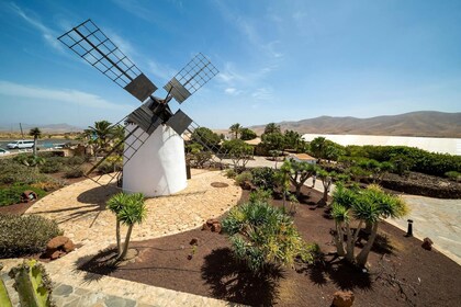 Tur til landsbyene på Fuerteventura