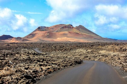 來自富埃特文圖拉島的蘭薩羅特火山和洞穴遊覽