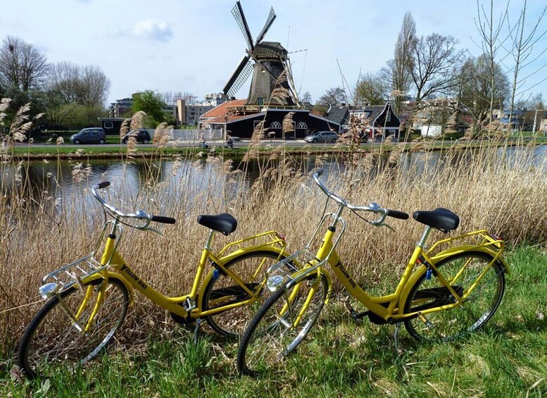 Picture 11 for Activity Amsterdam: Waterland District Countryside Villages Bike Tour