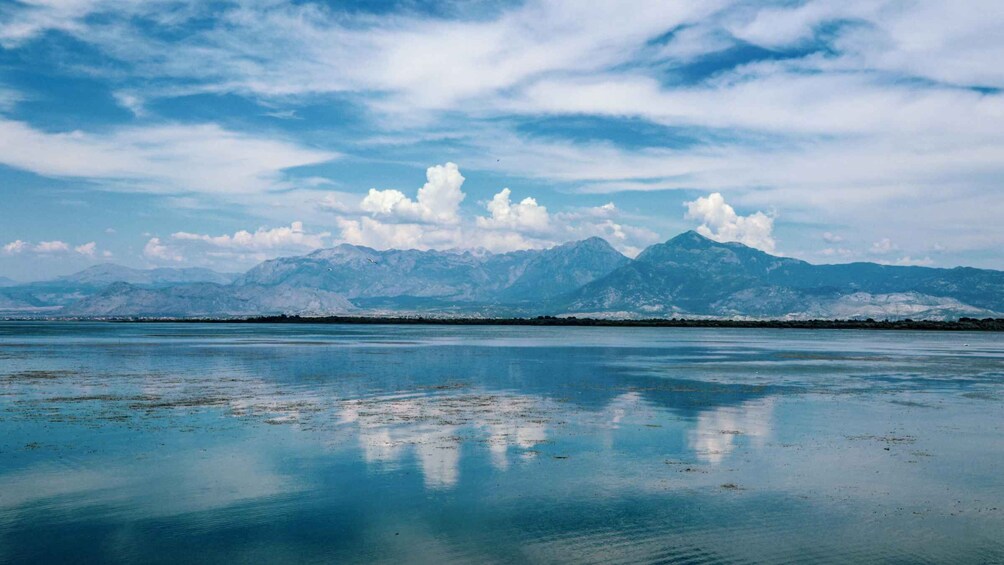 Picture 2 for Activity From Ulcinj: Rozafa Castle ,Skadar Lake and Skadar Tour