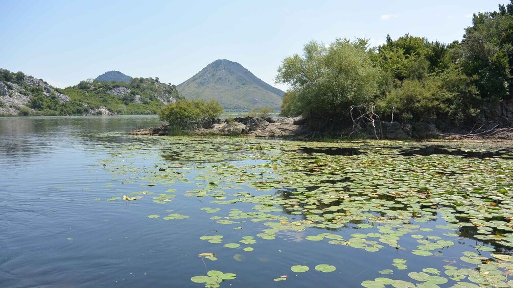 Picture 4 for Activity From Ulcinj: Rozafa Castle ,Skadar Lake and Skadar Tour