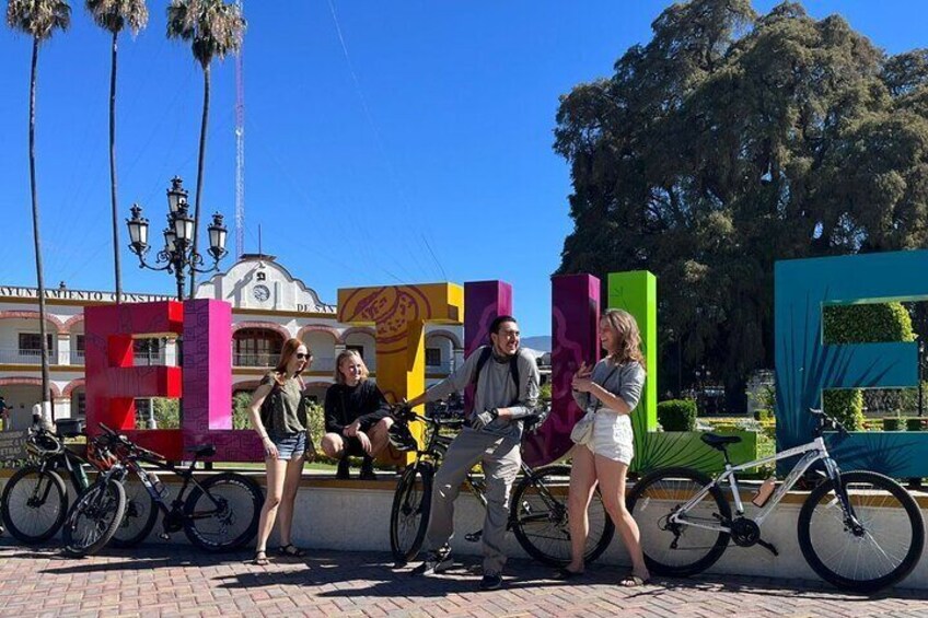 Bike tour to the Tule Tree and the Gastronomic Market