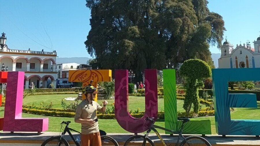 Bike tour to the Tule Tree and the Gastronomic Market