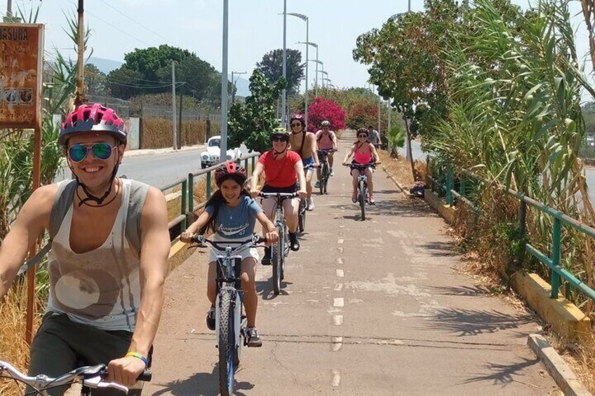 Bike tour to the Tule Tree and the Gastronomic Market