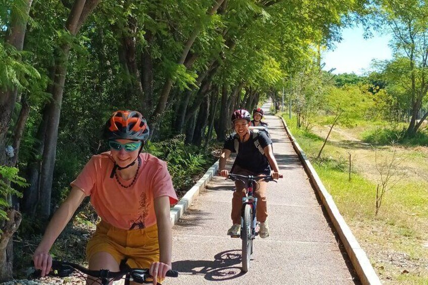 Bike tour to the Tule Tree and the Gastronomic Market