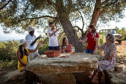 Tour privado del vino por la península de Saint-Tropez