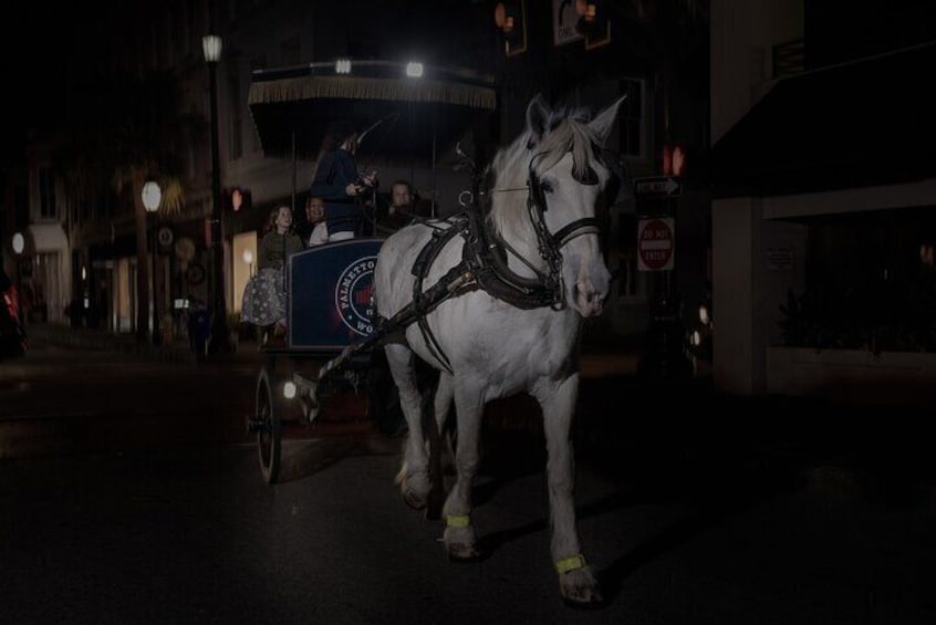 Charleston Haunted Horse and Carriage Evening Tour