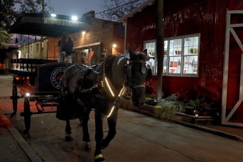 Charleston Haunted Horse and Carriage Evening Tour