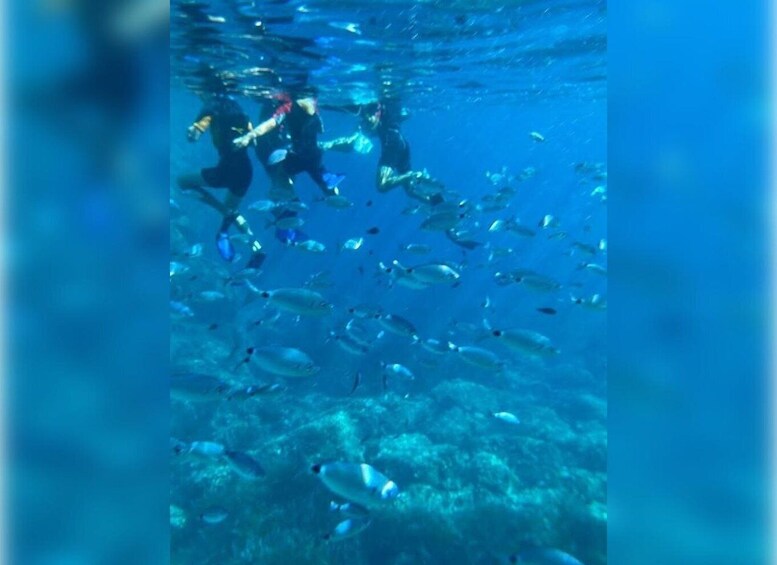 Picture 7 for Activity Cargèse: Capo Rosso "Snorkeling" and Sea Cave Tour