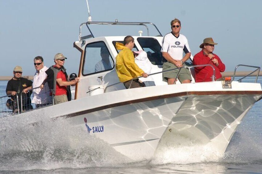 Marine Dune Day: Catamaran Cruise and Sandwich Harbor Dune Drive