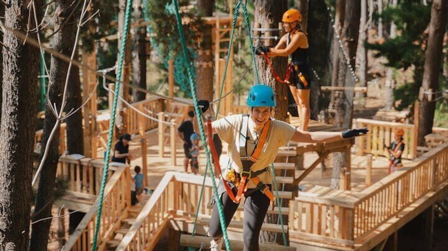 Guided Tree Ropes Course Experience in Majura Pines