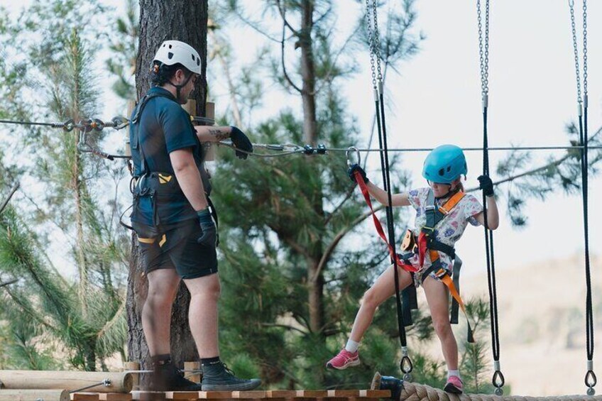 Guided Tree Ropes Course Experience in Majura Pines