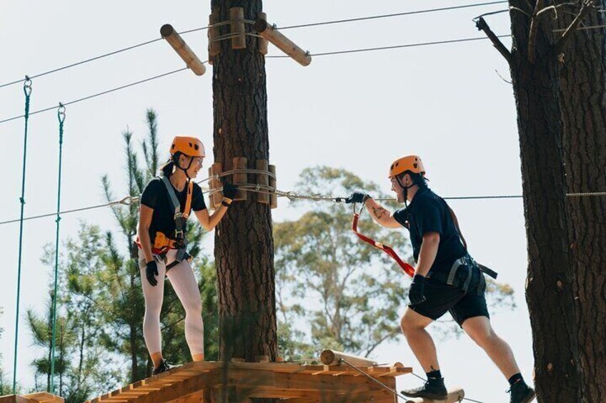 Guided Tree Ropes Course Experience in Majura Pines