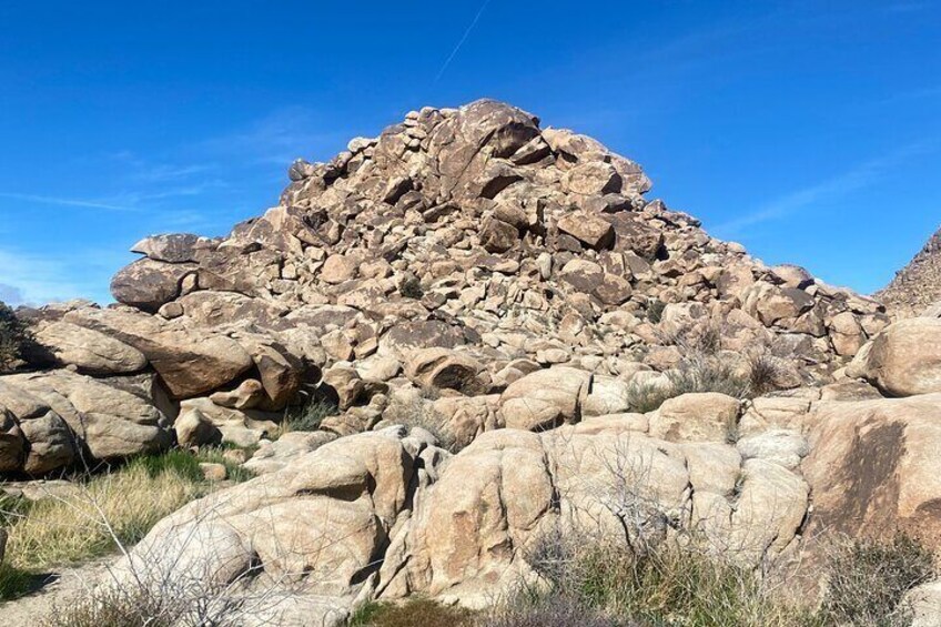 Natural Wonders Walk: Plants, Animals and Rocks of Joshua Tree