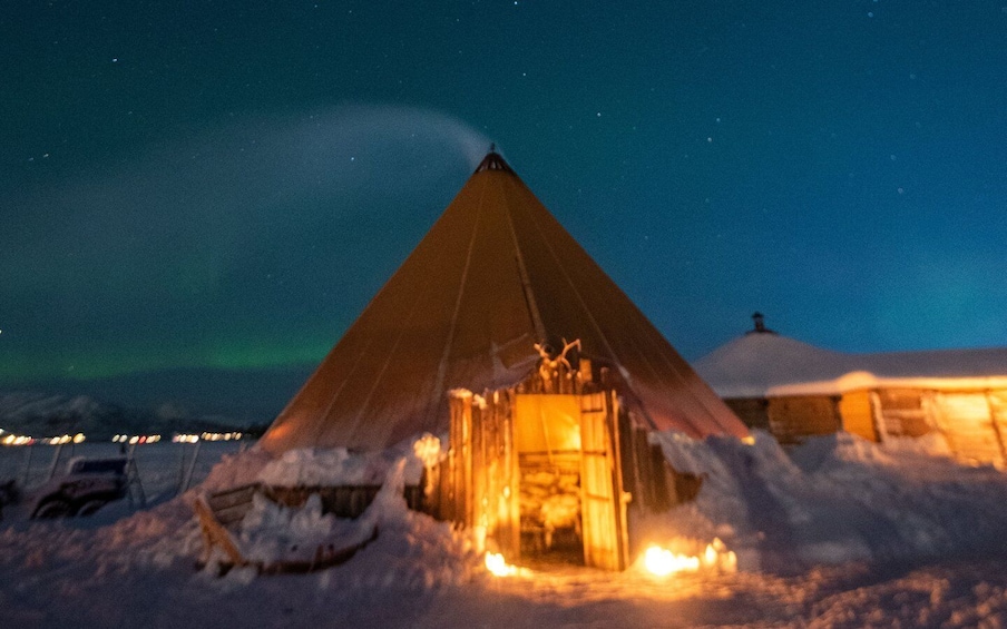 Picture 1 for Activity Tromsø: Reindeer Feeding with Chance of Northern Lights