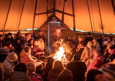 Tromsø: alimentación de renos con posibilidad de auroras boreales