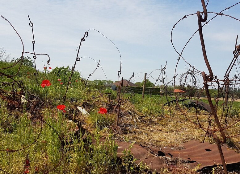 Picture 3 for Activity From Bruges: Great War Flanders Fields Minibus Tour w/Lunch