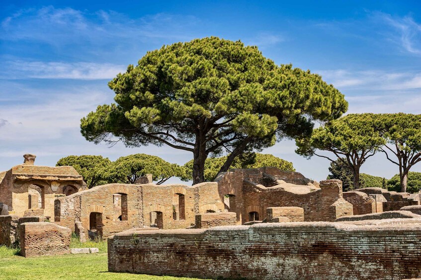 Picture 4 for Activity Rome:Ostia Antica Archaeological Park Entry Ticket & Pemcard