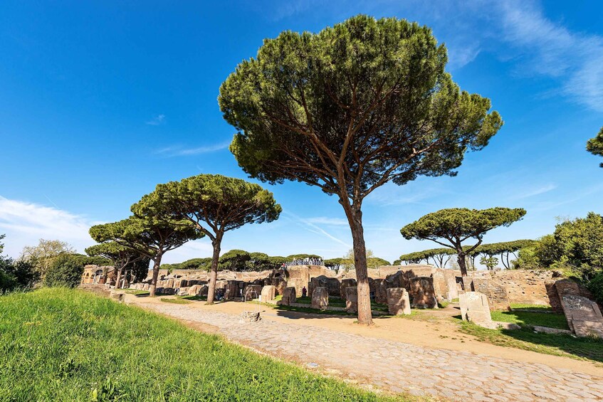 Picture 2 for Activity Rome:Ostia Antica Archaeological Park Entry Ticket & Pemcard