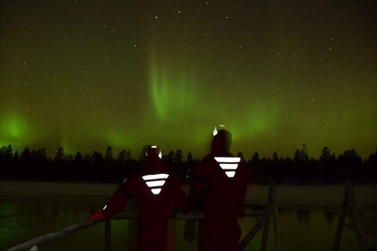 From Rovaniemi: Ice Floating under Aurora Borealis