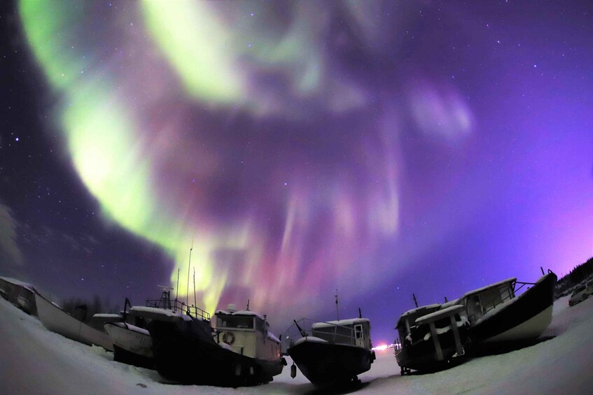 Picture 4 for Activity From Yellowknife: Northern Lights Bus Tour with Photos