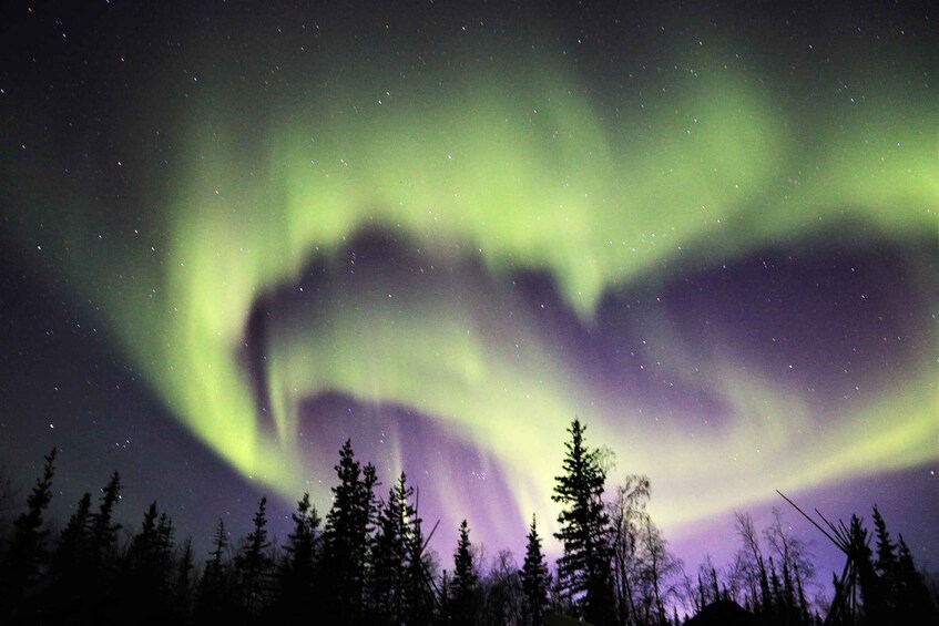 Picture 1 for Activity From Yellowknife: Northern Lights Bus Tour with Photos