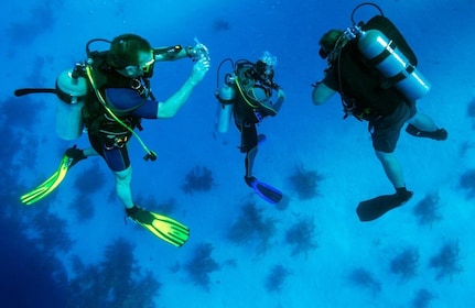 Från Bodrum: Dykning i Egeiska havet