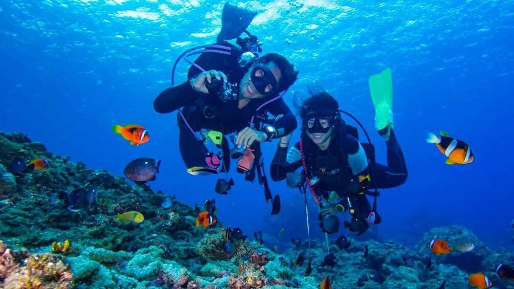 Picture 1 for Activity From Bodrum: Scuba Diving in the Aegean Sea