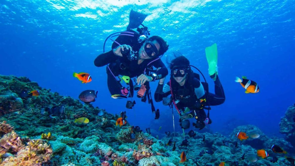 Picture 1 for Activity From Bodrum: Scuba Diving in the Aegean Sea