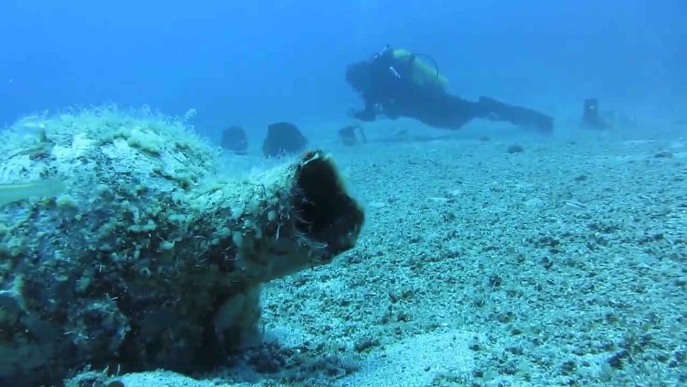 Picture 2 for Activity From Bodrum: Scuba Diving in the Aegean Sea