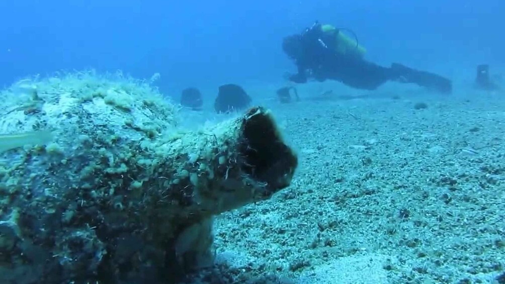 Picture 2 for Activity From Bodrum: Scuba Diving in the Aegean Sea