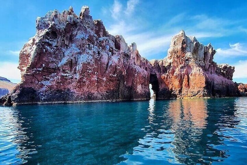 Watching and Swimming with Sea Lions on Espiritu Santo Island