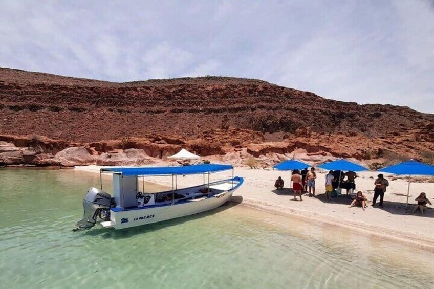 Watching and Swimming with Sea Lions on Espiritu Santo Island