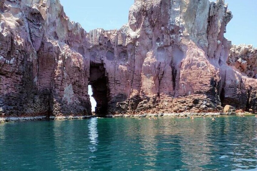 Watching and Swimming with Sea Lions on Espiritu Santo Island