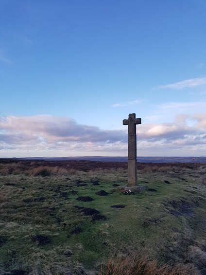 Picture 11 for Activity North York Moors and Whitby Tour from York