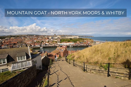 Da York: Tour guidato di North York Moors e Whitby