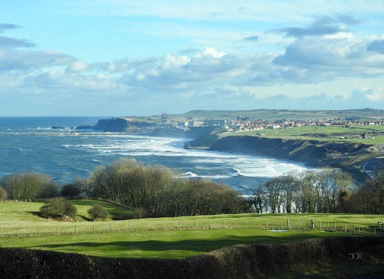 Picture 10 for Activity North York Moors and Whitby Tour from York