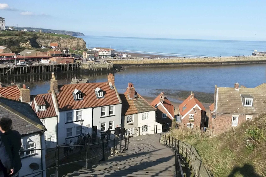 North York Moors and Whitby Tour from York