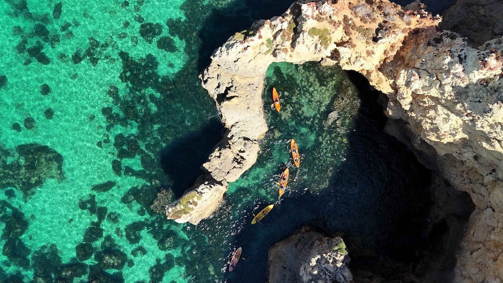 Picture 7 for Activity From Lagos Marina: Ponta da Piedade Kayak Tour