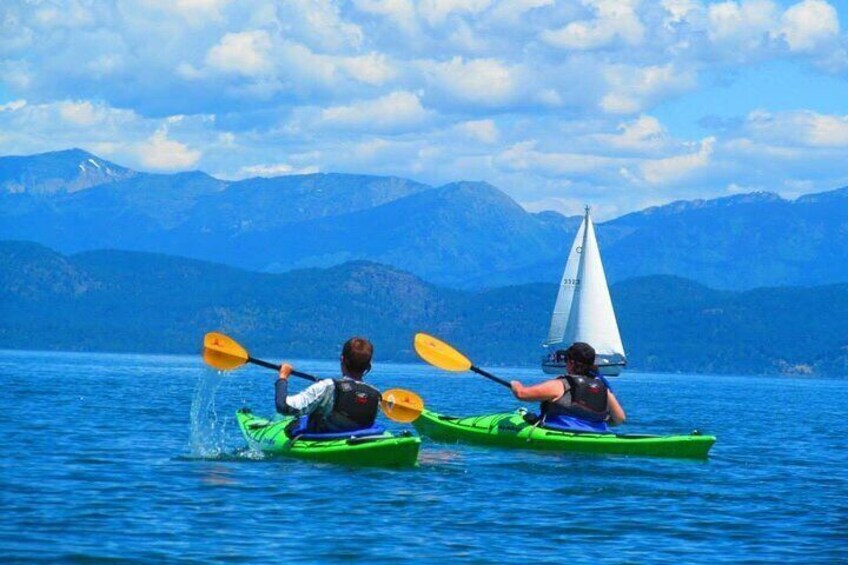 Cedar Island Flathead Lake Kayaking Tour