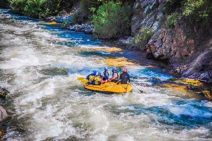 Numbers Half-Day Whitewater Rafting plus Mountaintop Zipline from Buena Vis...